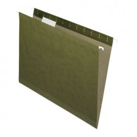 FOLDER COLGANTE OXFORD CARTA VERDE 25PZ