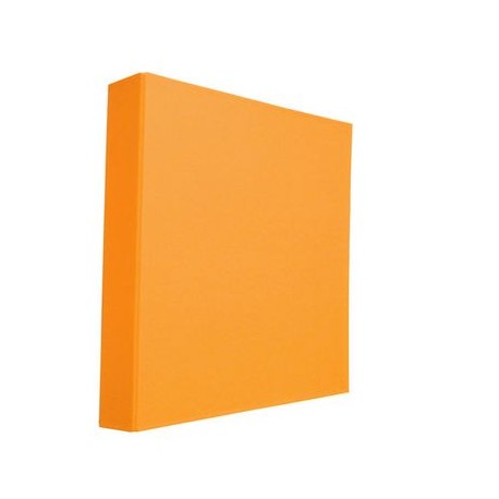 CARPETA BASICA NEON COLORES CARTA 1" PIEZA