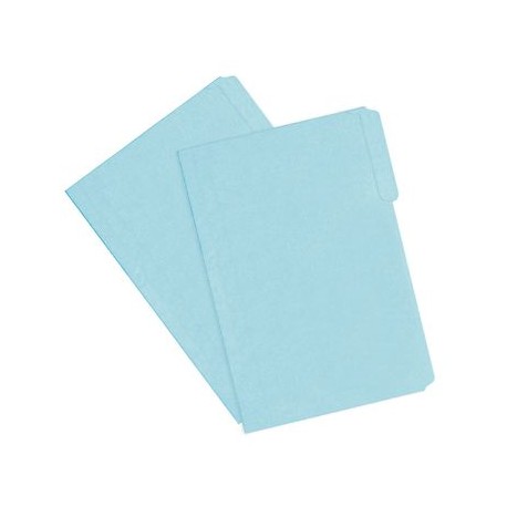 FOLDER CARTA AZUL OMX 25PZ 178GRS