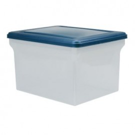 Caja Plástico Archivo Transparente 35X46X27Cm 30Lt