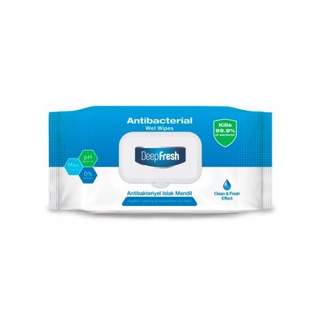 ANTIBACTERIAL WIPES 100PCS
