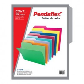 FOLDER GRIS CARTA 25 PIEZAS PENDAFLEX
