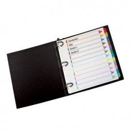 Separador Omni-Dex 12 Pestañas Multicolor