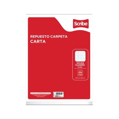 Hojas Para Carpeta Scribe Tamaño Carta Cuadro Chico 10 0 Hojas
