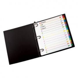 Separador Omni-Dex 15 Pestañas Multicolor